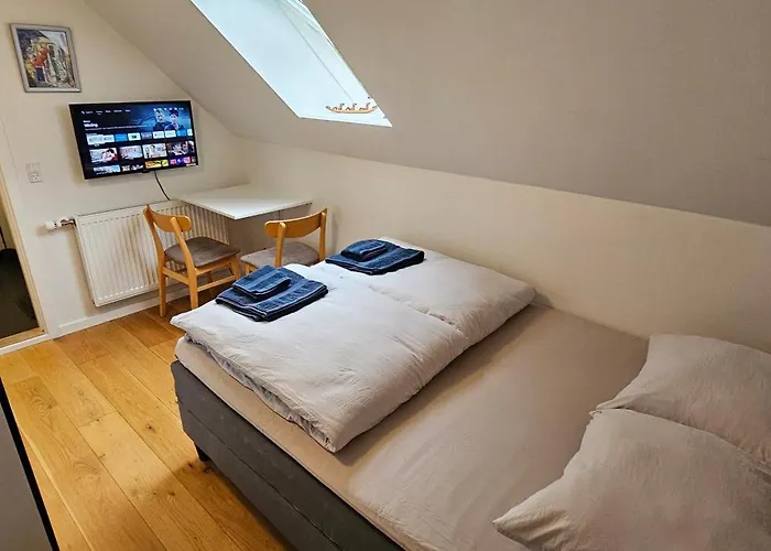 住宿加早餐酒店 Olsson *