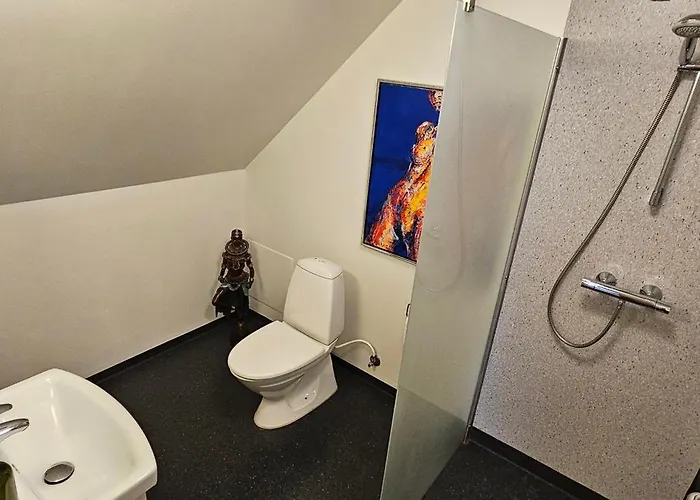 住宿加早餐酒店 Olsson