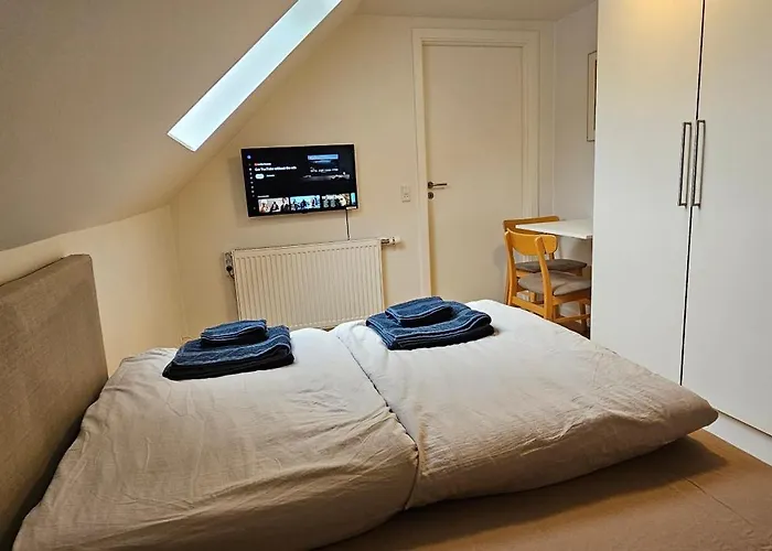 Olsson ランダーズ