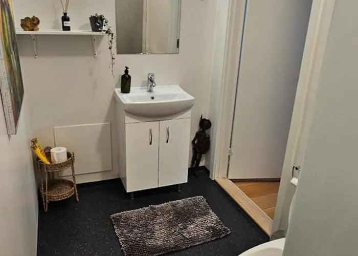 住宿加早餐酒店 Olsson