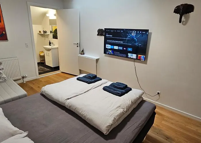 住宿加早餐酒店 Olsson